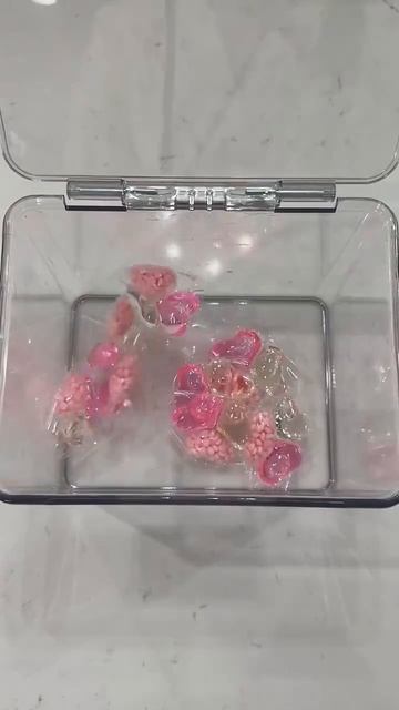 фон для видео