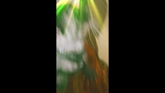 у меня тут кот в комнате танцует
