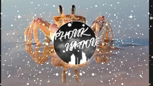 потанцуем крабика (deep House Remix) | Камчатский краб
