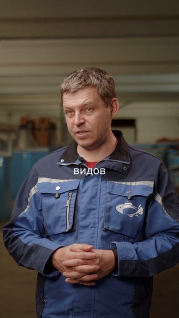 Хотите рыбный бизнес и не сидеть на ферме 24/7?Стерлядь — ваш выбор. Растёт быстро, продаётся дорого