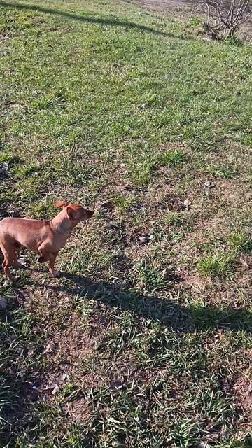 Заряжаемся солнцем и электричеством ⚡  Гуляем май🐕🐕 Тусим на озере😌
