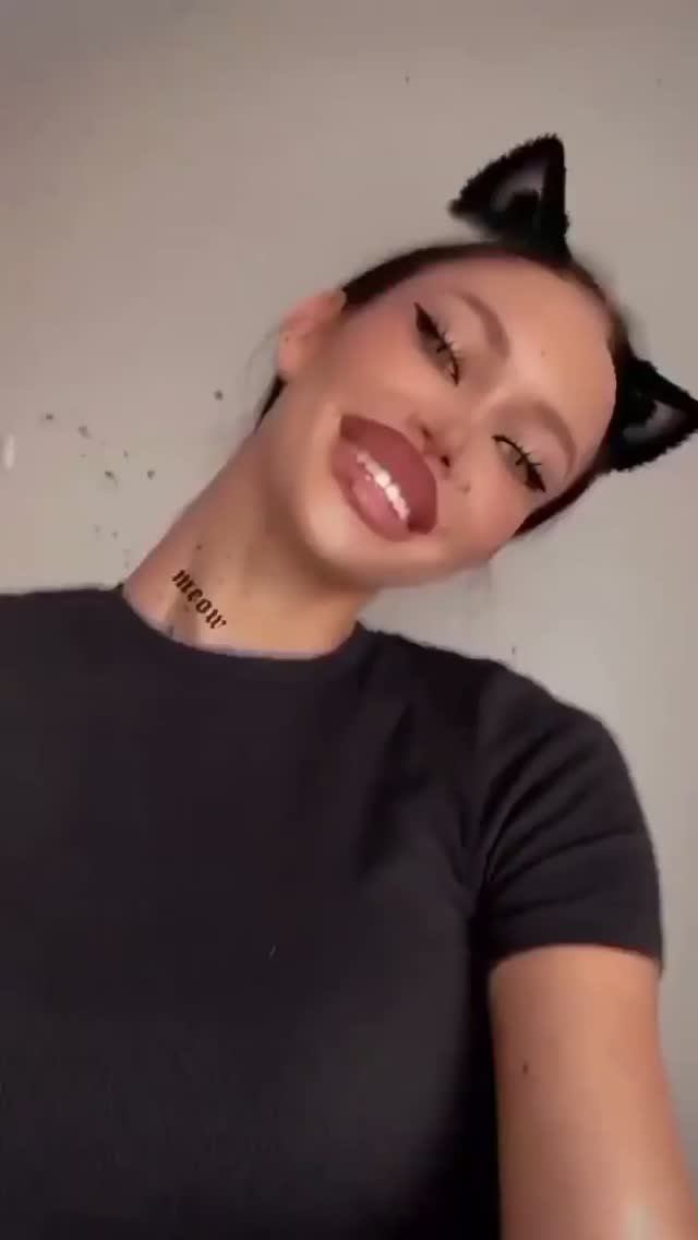 Какая киса