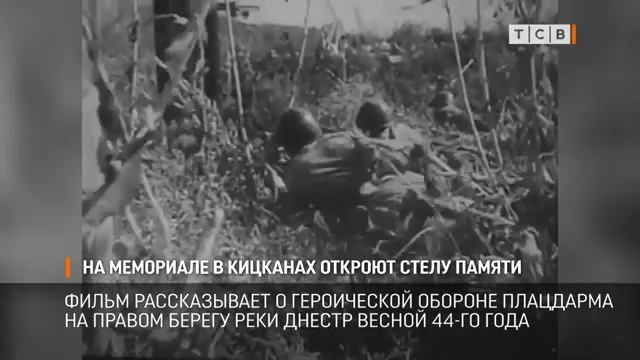 Videoplayback