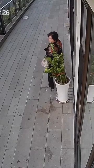 Помешало ей