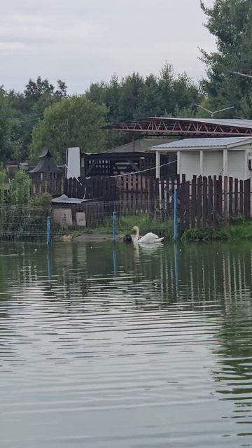 прогулка