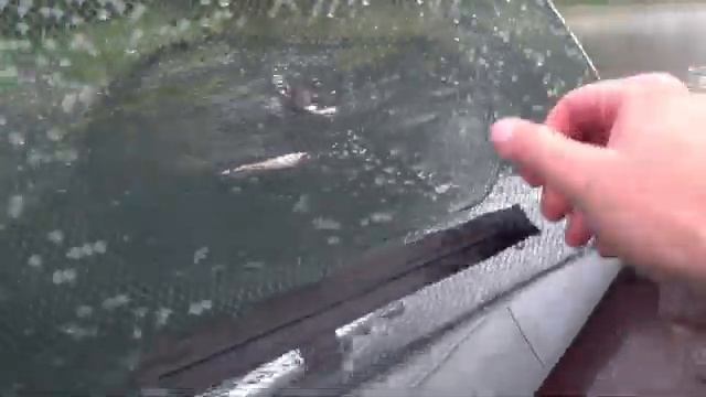 Ловля Раков на незнакомом Озере! Ставлю и Проверяю Раколовки! Китайские Раколовки-Зонтик!