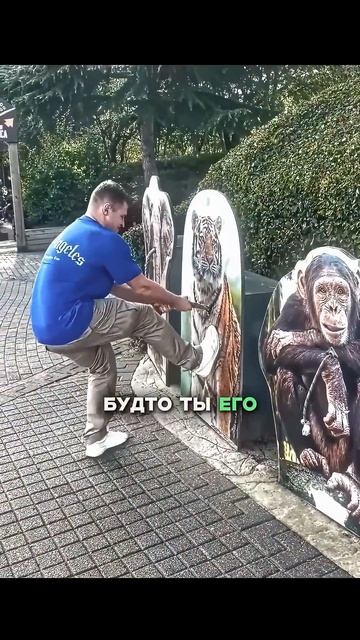 Сравнение силы человека и животных 💪😅 Человек победил? #shorts #юмор #концовка