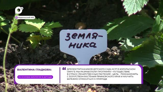 Прямая речь / Об основах биологии / 20.08.26