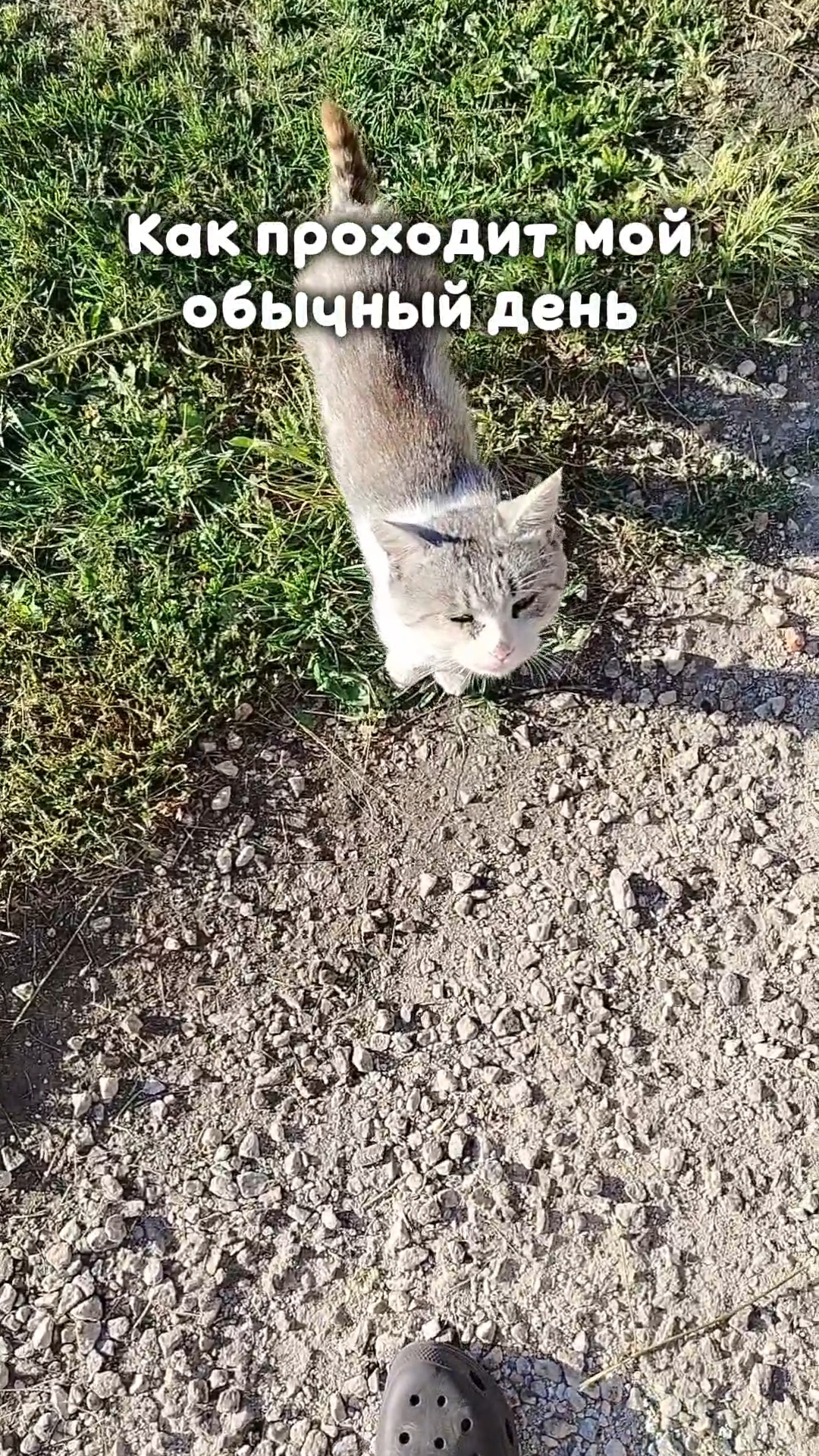 а как проходит ваш день?