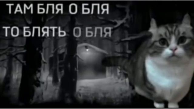 наплыв хейта буквально: