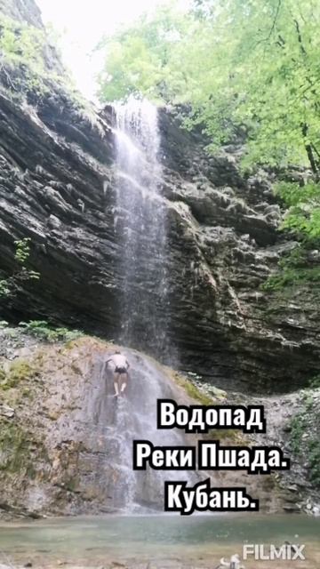 флора и фауна