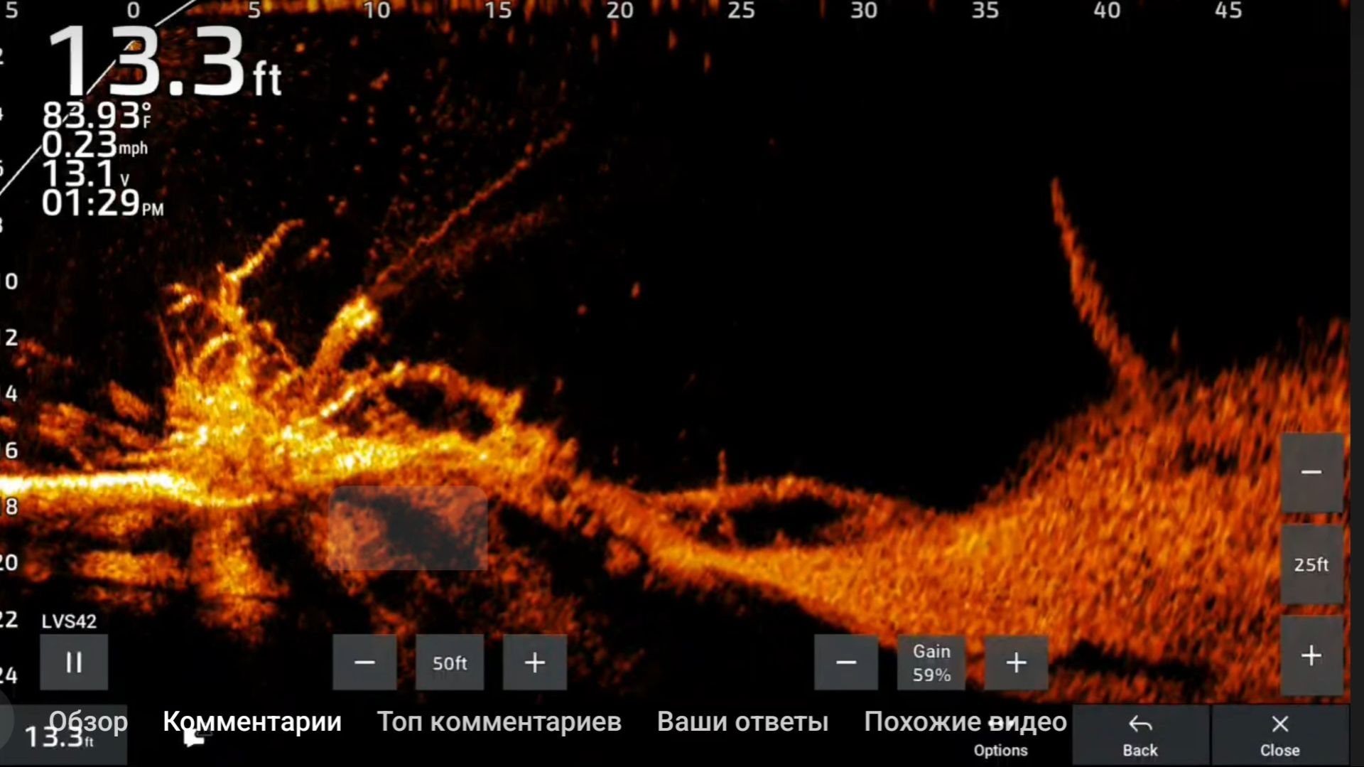 Lvs42HD Gpsmap 8612
