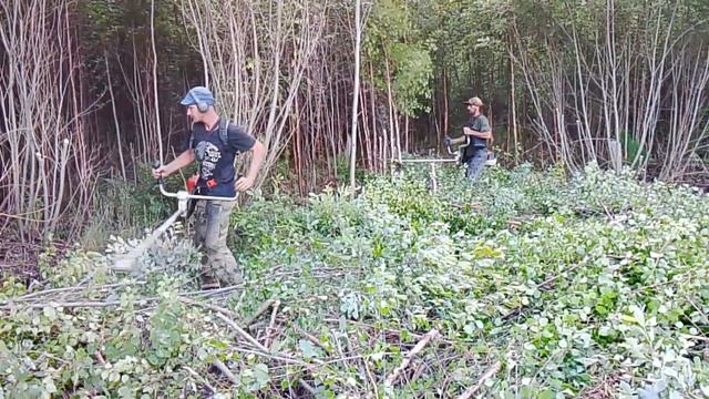 Работа кусторезом STIHL