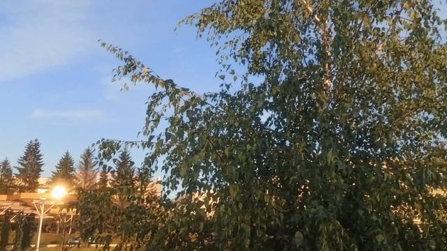 Вот  так безмятежно бывает! Привет из Шебекино от Марии. 20.08.26