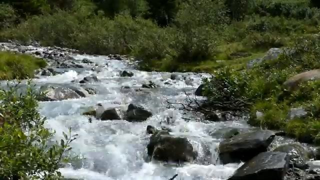 Эмбиент природа....