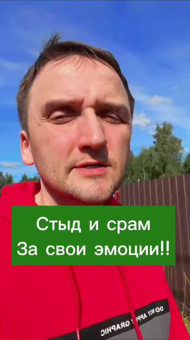 Как я испытываю вину за проявленную агрессию #mullron
