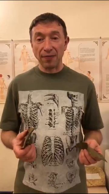 2. Стельки Врач