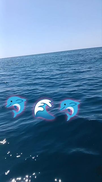 типа дельфины есть