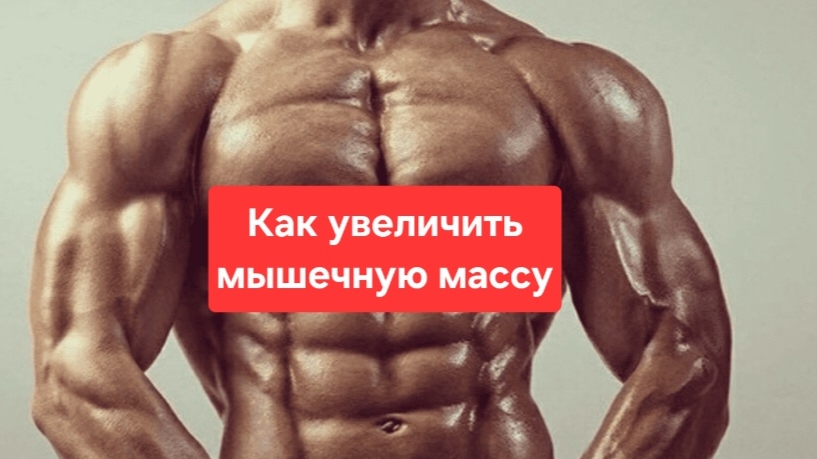 Как нарастить мышцы.Питание доя мышц.