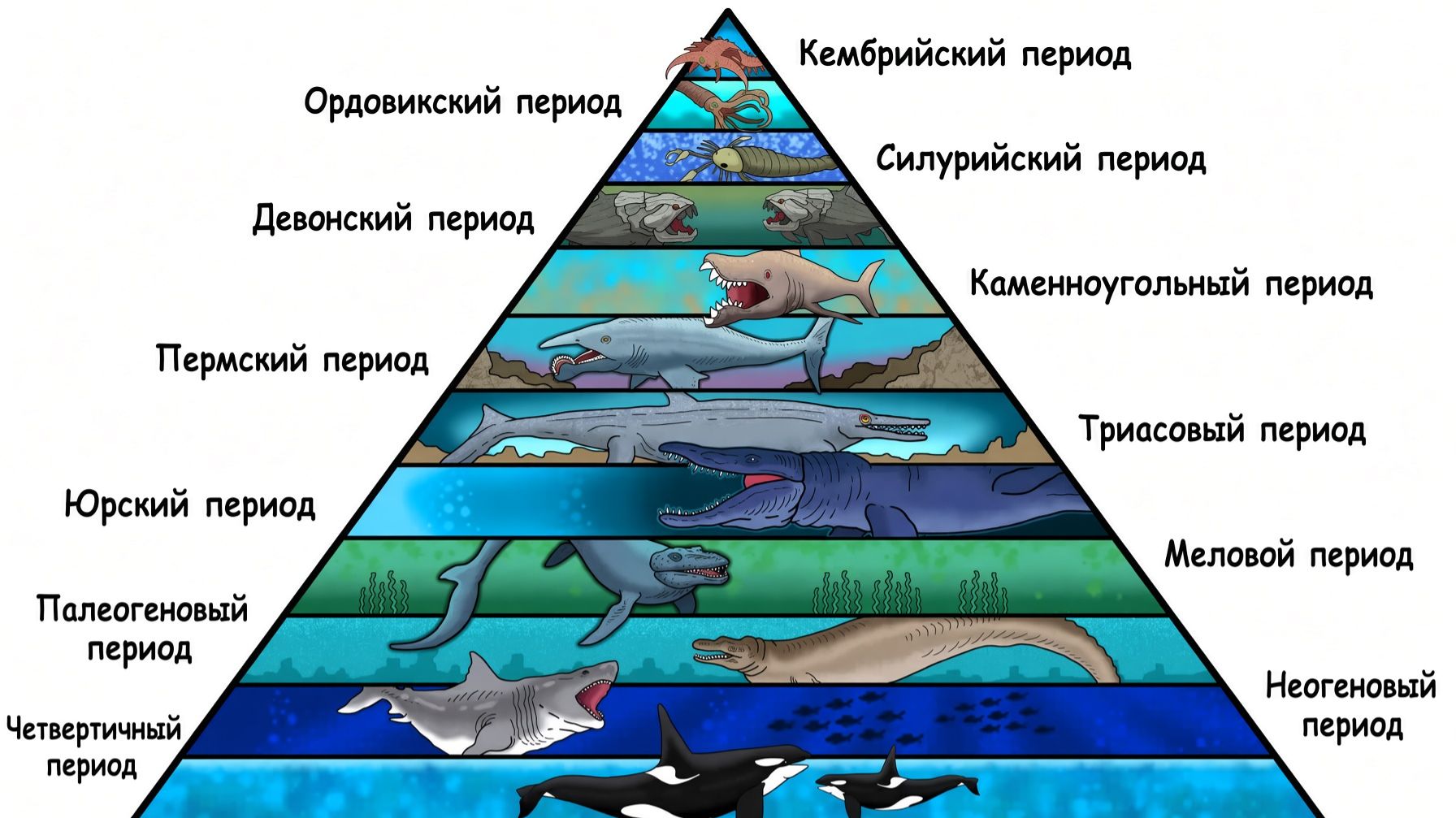 Самое смертоносное морское животное всех времен