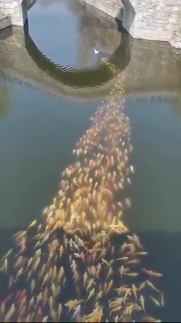 БЫВАЕТ
