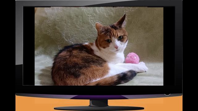 Юрьев Польский Уроженка села Ненашевское