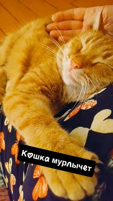 Перезагрузка нервной системы#активнаямедитация#звукиприроды