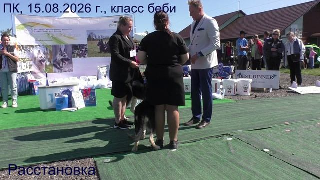 Расстановка класса беби