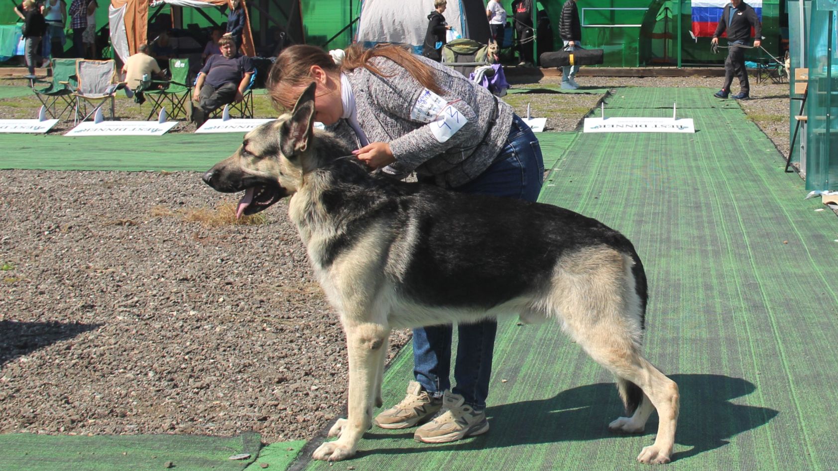 Гуннар