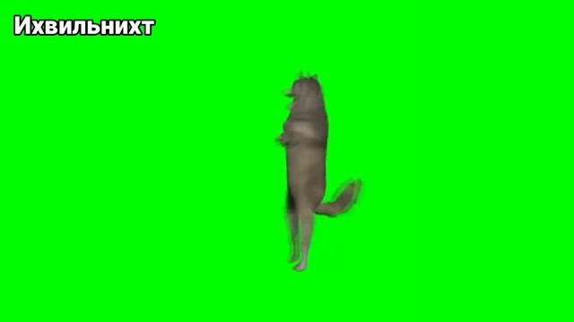 мем ихвильнихт