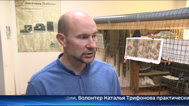 Гуманитарный маршрут: как Тюмень, Югра и Ямал помогают бойцам СВО