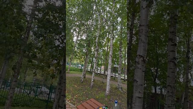 обзор на нямку часть 2