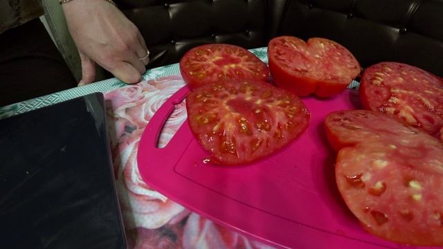 Дегустация и взвешивание самых крупных томатов