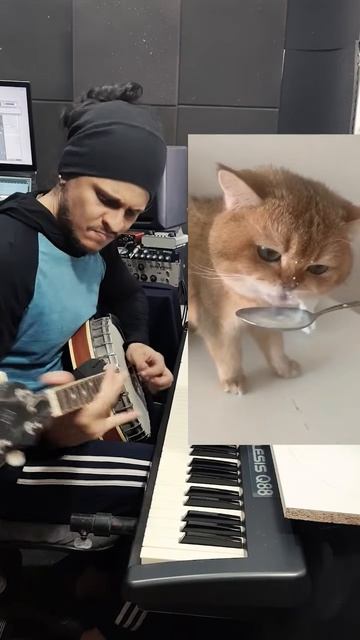 кот поёт