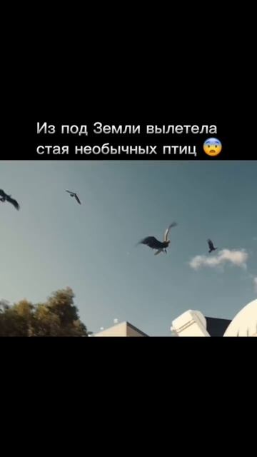 Ла - Брея 2021