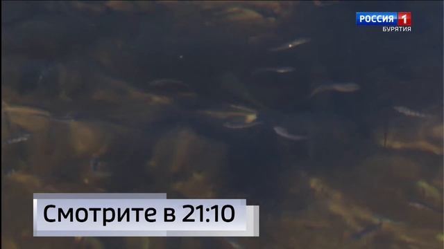 Анонс вечернего выпуска Вести Бурятия 20.08.2026