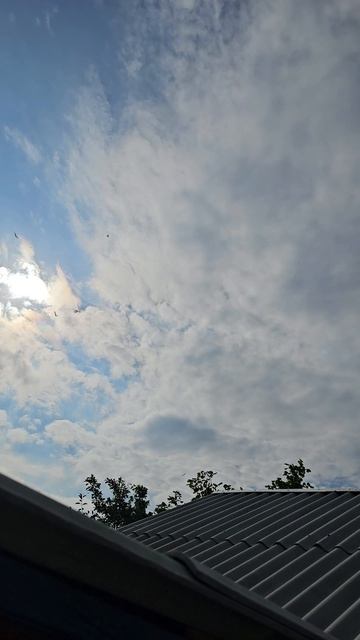 5.08.26 Подьем Бакинских Голубей