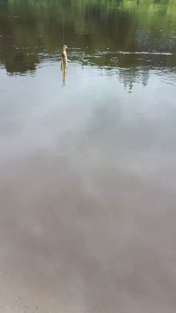 Больше нечего ловить