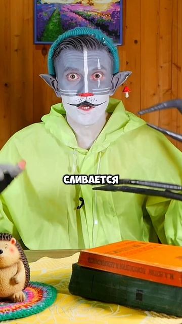 Поверил? 🤔