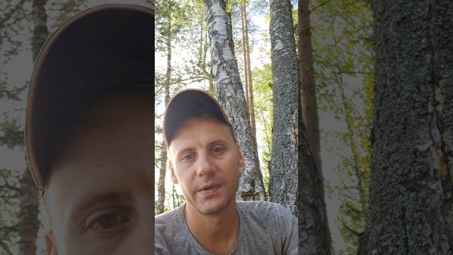 2026-августа-10_16:53:41 пособирал белых грибов и подосинычей
