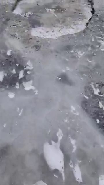 Рыба под льдом залегла.
