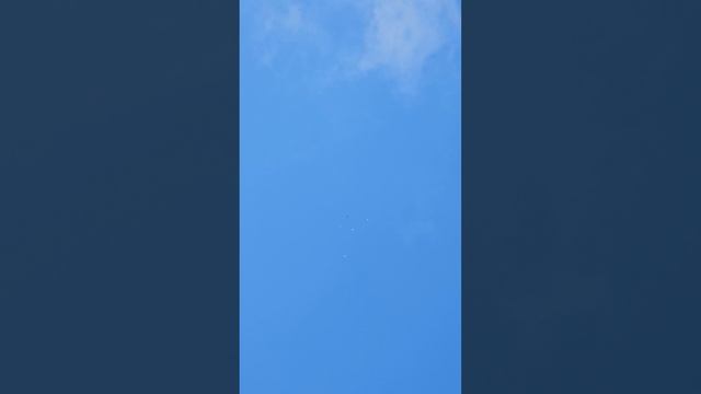 Полет Бакинских голубей 15.07.26