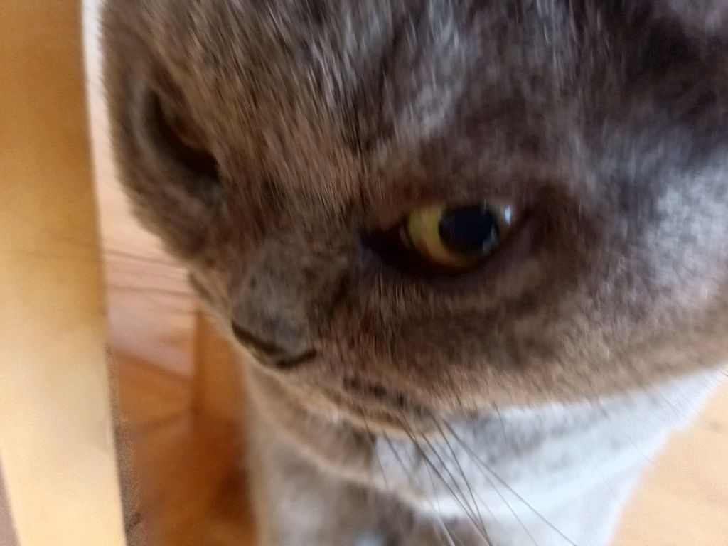 кормëжка ❤