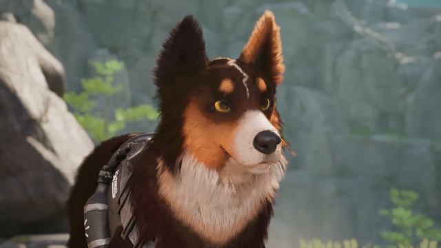 Трейлер Barkour (история)