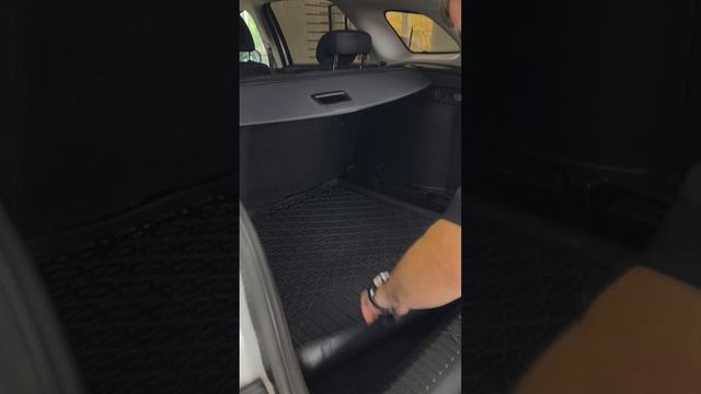 3882.mp4