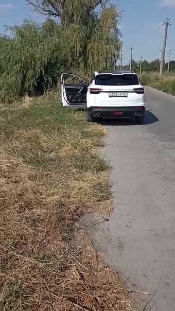 72293.mp4