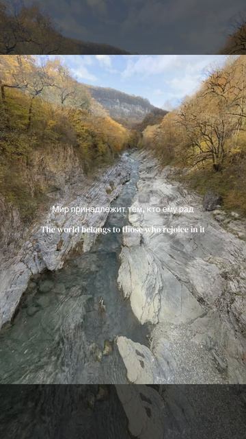 Утренняя медитация и призыв влюбиться в тот мир что вас окружает 
