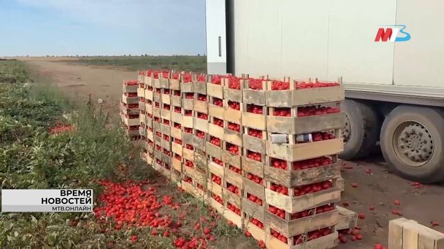 Жительница Волгограда потеряла 1,5 млн рублей при покупке авто