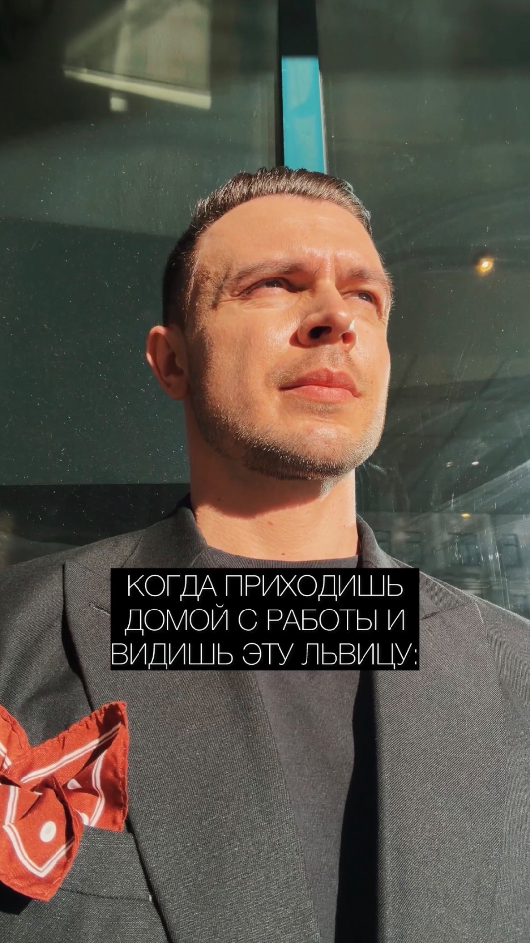 МОЯ ЛЬВИЦА ведущиймосква юмор приколы смотретьдоконца