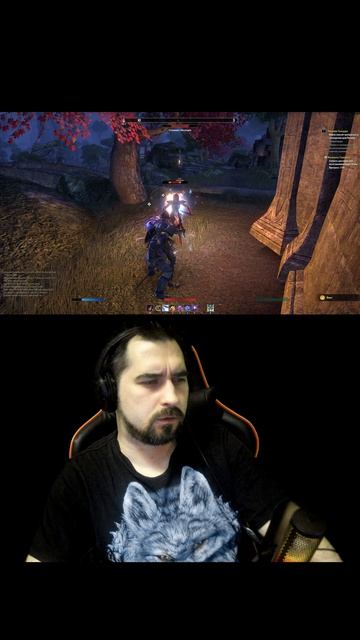 Когда на 60 секунд залетел в The Elder Scrolls Online